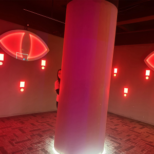 Entertainment Franchise Opportunities